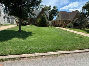 Shannon S.'s yard care service result