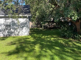 Alisha S.'s lawn service service result