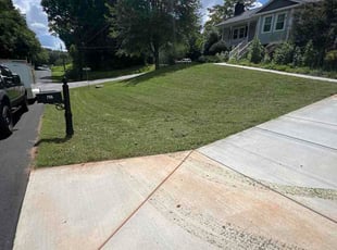 Tavaris G.'s lawn maintenance service result