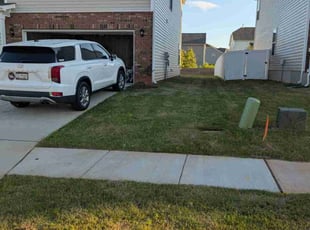 Angela R.'s lawn care service result