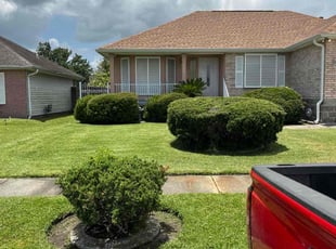 Jane H.'s lawn service service result