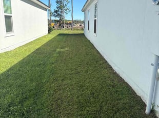 Henry M.'s lawn care service result