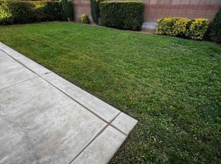 Valerie V.'s lawn service service result