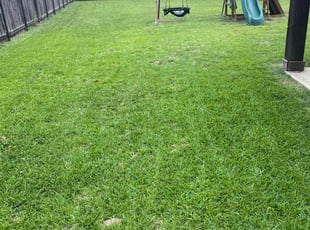 Pat J.'s grass cutting service result