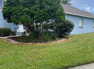 Brandon L.'s Bush Trimming service result