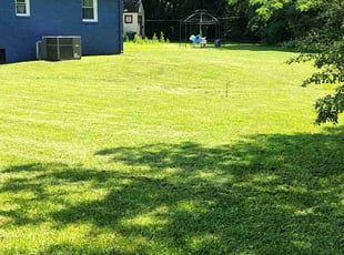 Haley G.'s grass cutting service result