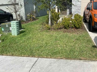 Carolyn B.'s lawn maintenance service result