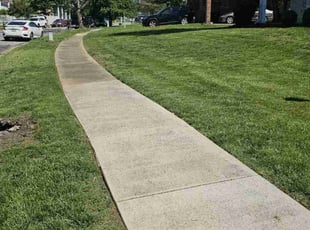 Sunni D.'s lawn care service result