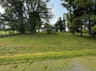 Lou C.'s turf care service result