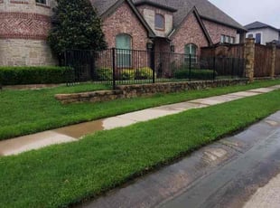 Lyndsay H.'s turf maintenance service result