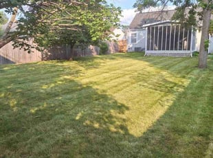 Brian E.'s turf maintenance service result