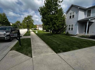 Tamara H.'s lawn care services service result