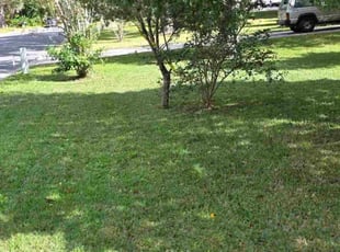 Marcus P.'s lawn service service result