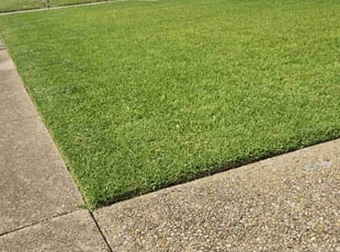 Jill K.'s lawn care service result