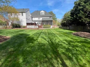 Jonathan M.'s lawn care services service result