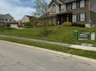 Mark M.'s lawn care services service result