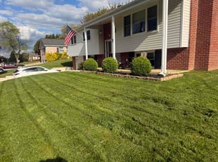 Christian L.'s lawn service service result
