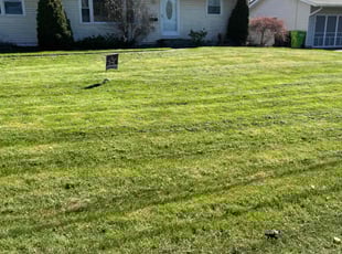 Kathy L.'s turf maintenance service result