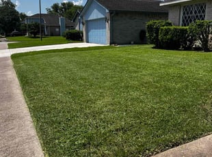 Sherry P.'s grass cutting service result