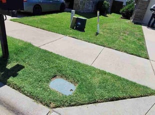 Courtney D.'s grass maintenance service result