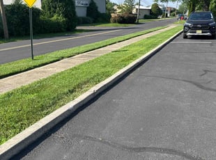 Steven D.'s turf care service result