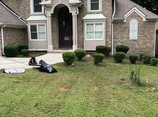 Kenneth D.'s Bush Trimming service result