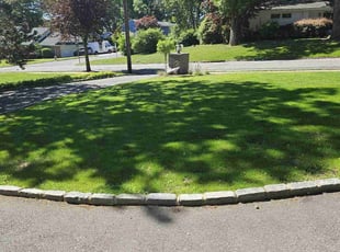 Nikolas B.'s grass cutting service result