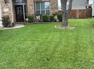 Laurie S.'s turf care service result