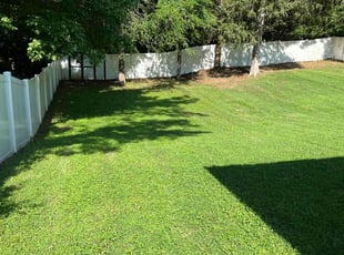 Carol H.'s lawn care services service result
