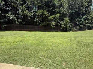 Lydia R.'s grass cutting service result