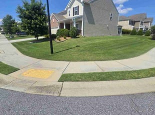 Takeya O.'s lawn care services service result
