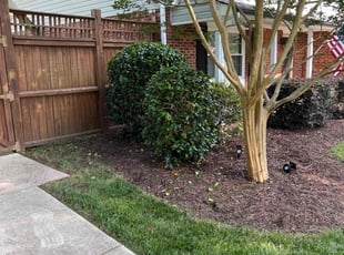 Cameron M.'s Bush Trimming service result