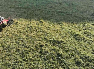 Katherine F.'s lawn care service result