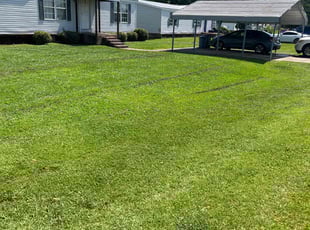 Cylia L.'s lawn care service result