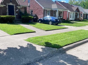 Elizabeth J.'s lawn care services service result