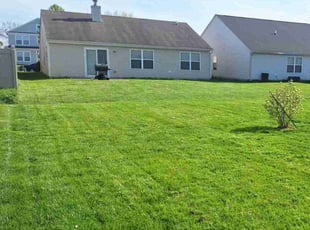 Dan H.'s lawn care services service result