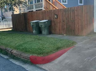 Doris T.'s lawn service service result