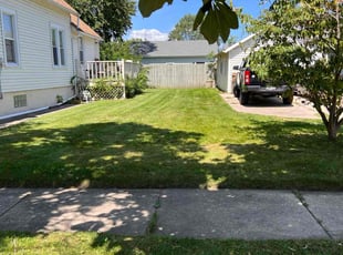 Aaron D.'s grass cutting service result
