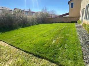 Tracy K.'s yard care service result