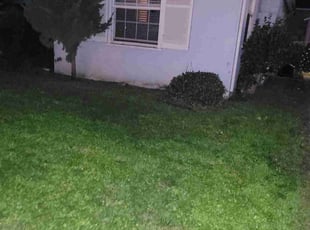 Manoli V.'s lawn service service result