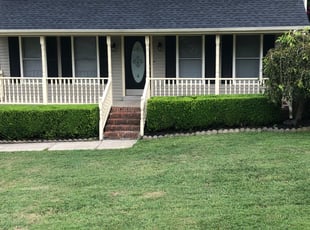 Ed C.'s Bush Trimming service result