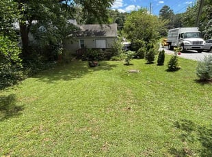 Eric M.'s lawn maintenance service result