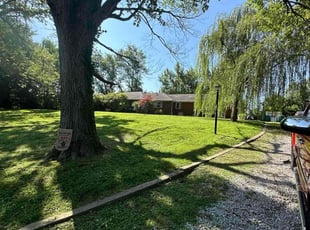 Monica G.'s turf maintenance service result