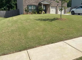 Cheron C.'s grass maintenance service result