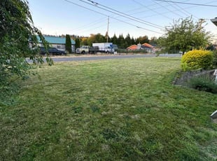 Argie G.'s lawn care services service result