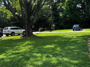 Diane D.'s turf care service result