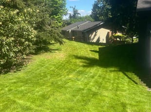 Emmanuel P.'s lawn care services service result