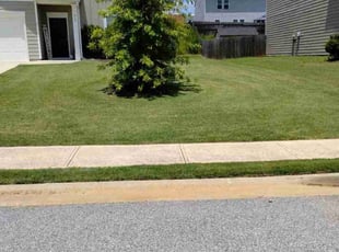 Paula J.'s turf maintenance service result