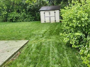 Isys A.'s lawn care services service result