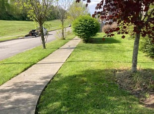 Mary C.'s lawn service service result